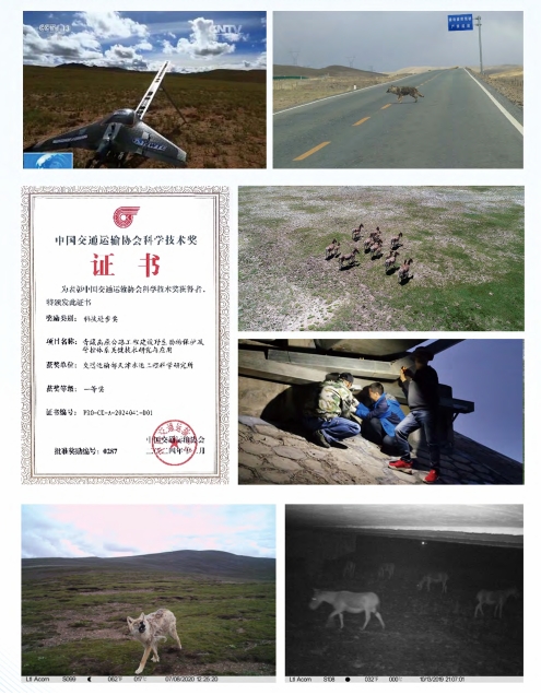 青藏高原公路工程建设野生动物保护及管控体系关键技术研究与应用